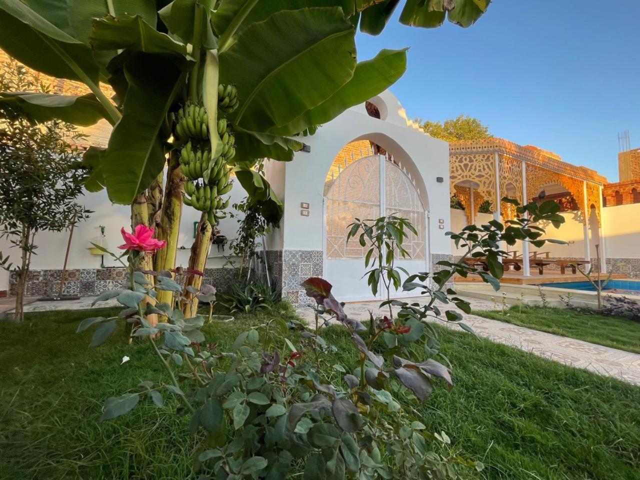Villa Kemet Jazirat al Awwamiyah Exterior photo